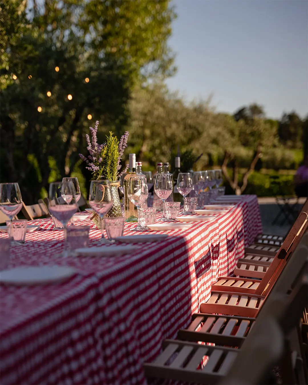 Elegante tavolata all'aperto allestita sotto gli ulivi e le luci per la cena sotto le stelle nell'agriturismo Poggio al Casone.